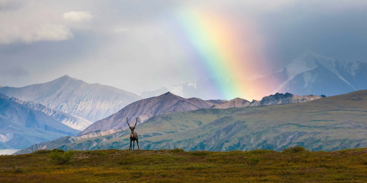 Alaska panorama
